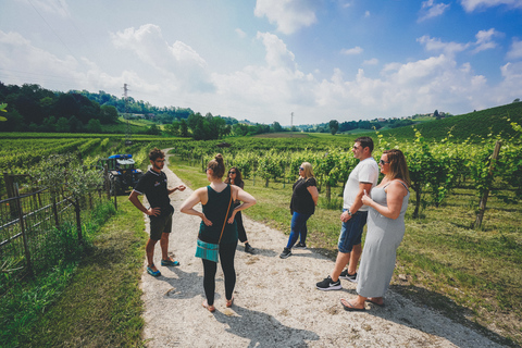 Da Venezia: Tour delle colline del Prosecco e degustazione di vini