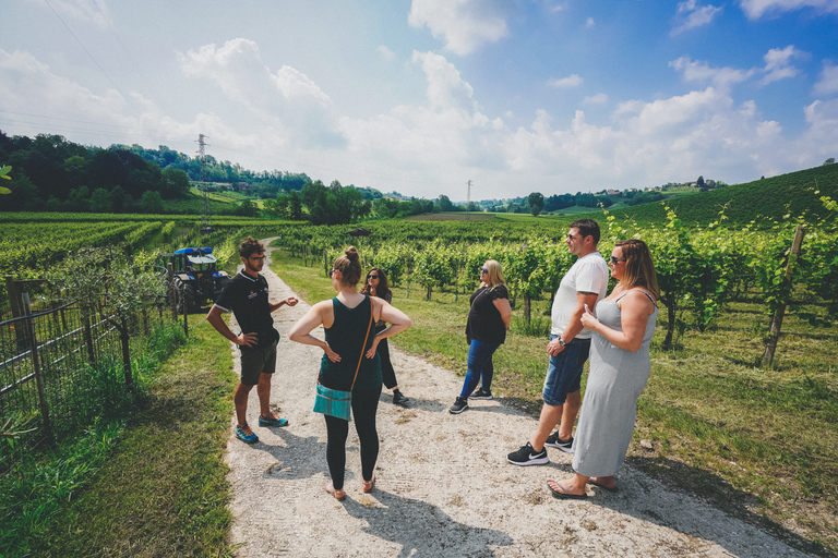 From Venice: Prosecco Hills and Wine Tasting Tour