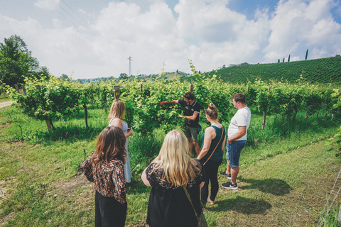 Från Venedig: Prosecco Hills och vinprovningstur