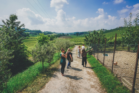 Från Venedig: Prosecco Hills och vinprovningstur