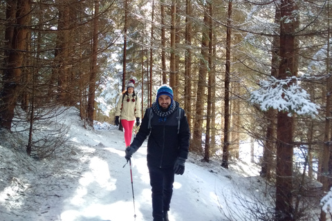 De Brasov: Excursão privada de um dia ao Parque Nacional Piatra Craiului