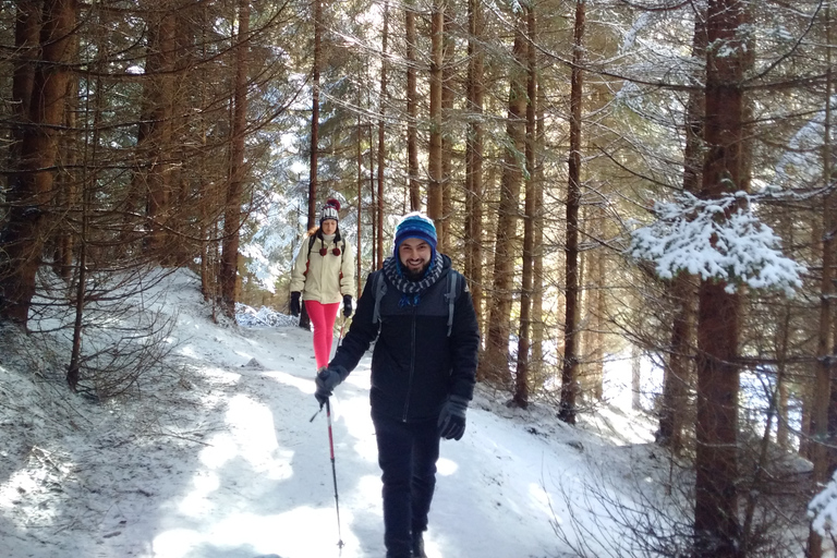 Von Brasov: Private Tagestour durch den Piatra Craiului Nationalpark