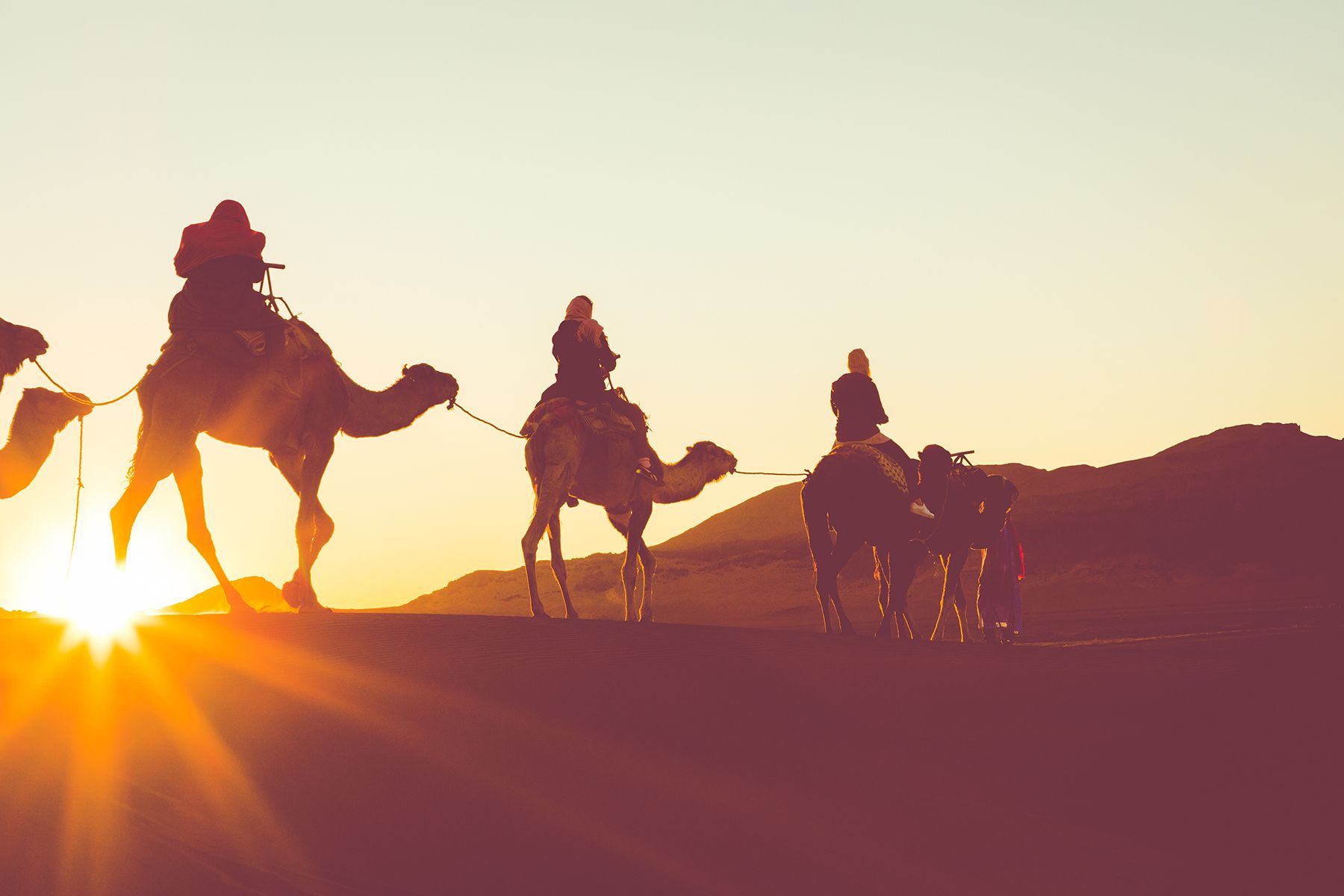 Douz: Kamelritt zum Sonnenuntergang oder Sonnenaufgang in der Wüste Sahara