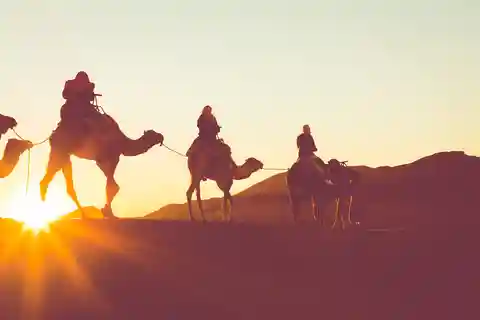 Douz : Balade à dos de chameau dans le désert du Sahara au coucher ou au lever du soleil