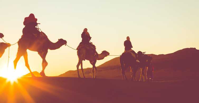 Douz Sunset or Sunrise Sahara Desert Camel Ride GetYourGuide