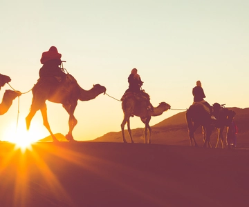 Douz : Balade à dos de chameau dans le désert du Sahara au coucher ou au lever du soleil