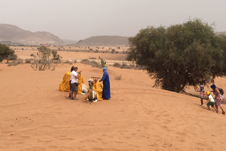 Wycieczka na pustynię Agadir Sahara z lunchem i trekkingiem na wielbłądachAgadir Sahara Desert Trip z lunchem i wielbłądami