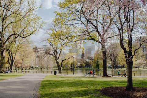 Från Boston: 4-dagars rundtur på USA:s östkust med övernattningDubbelrum