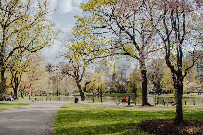 Vanuit Boston: 4-daagse rondreis langs de oostkust van de VS met overnachting