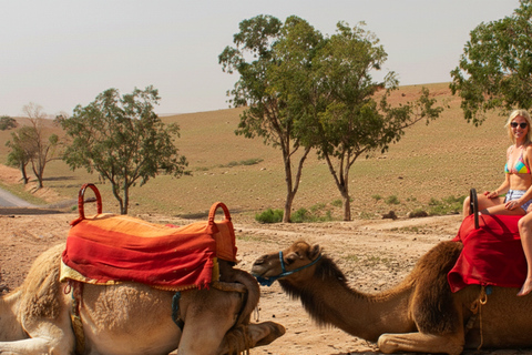 Sharm El Sheikh Combo Safari & Ras Mohammed Adventure