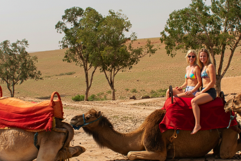 Sharm El Sheikh Combo Safari & Ras Mohammed Adventure