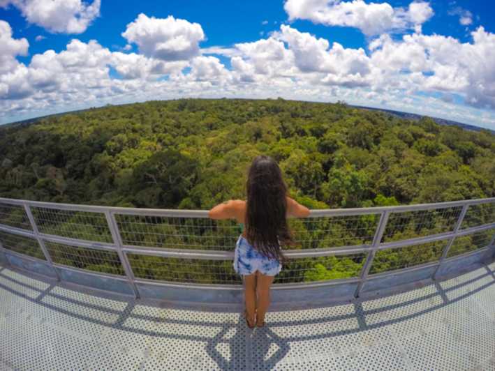 Manaus: Excursão Museu Amazônia, INPA e Torre de Observação