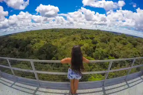 Manaus: MUSA and INPA Museums with Observation Tower Tour