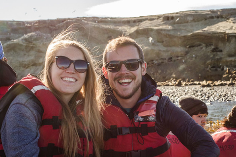 Punta Arenas: Walk with Penguins on Magdalena & Marta Island Tour from Punta Arenas