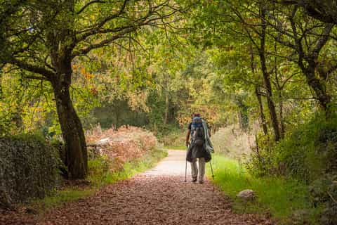 Sarria to Santiago: 100 km 7-Day Hike Self-Guided Tour