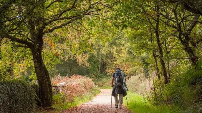 sarria to santiago 100 km 7day hike selfguided tour
