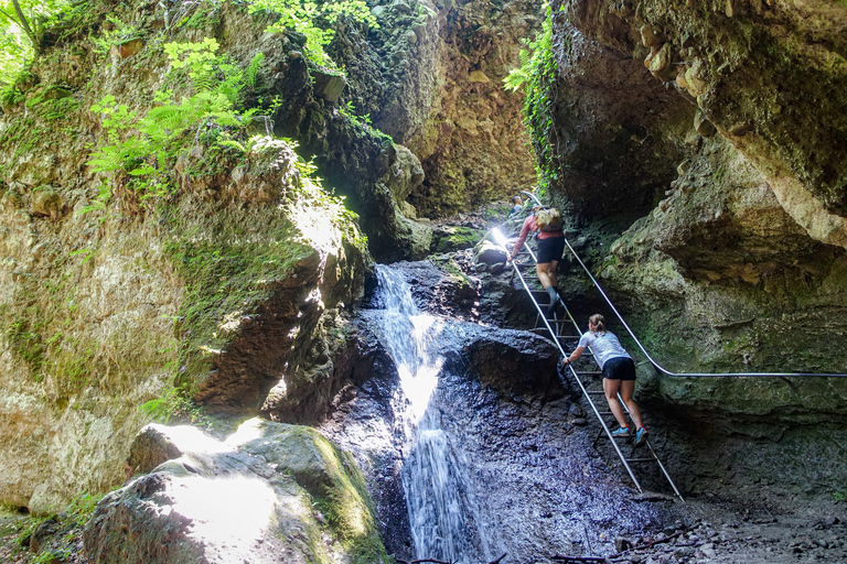 Curva do Danúbio: excursão de caminhada de dia inteiro saindo de Budapeste