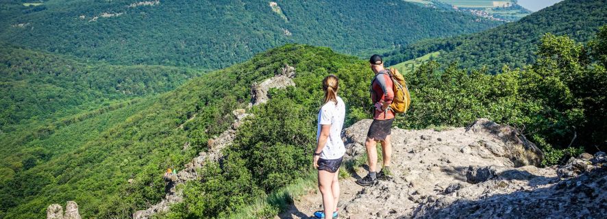 Danube Bend: Full-Day Hiking Tour from Budapest