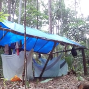 Day Camping 4D/3N -  Brazil Jungle Tours