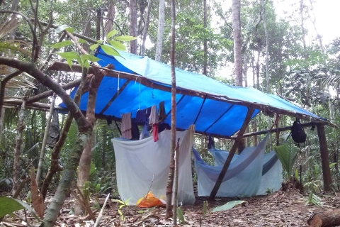 Manaos: 3/4/5 días de viaje de supervivencia en el AmazonasTour de 3 días y 2 noches