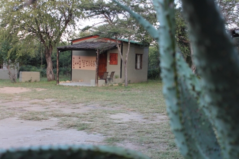 Johannesburg: niedrogie 3-dniowe safari w Kruger ParkJohannesburg: Niedroga 3-dniowa przygoda z safari w Kruger