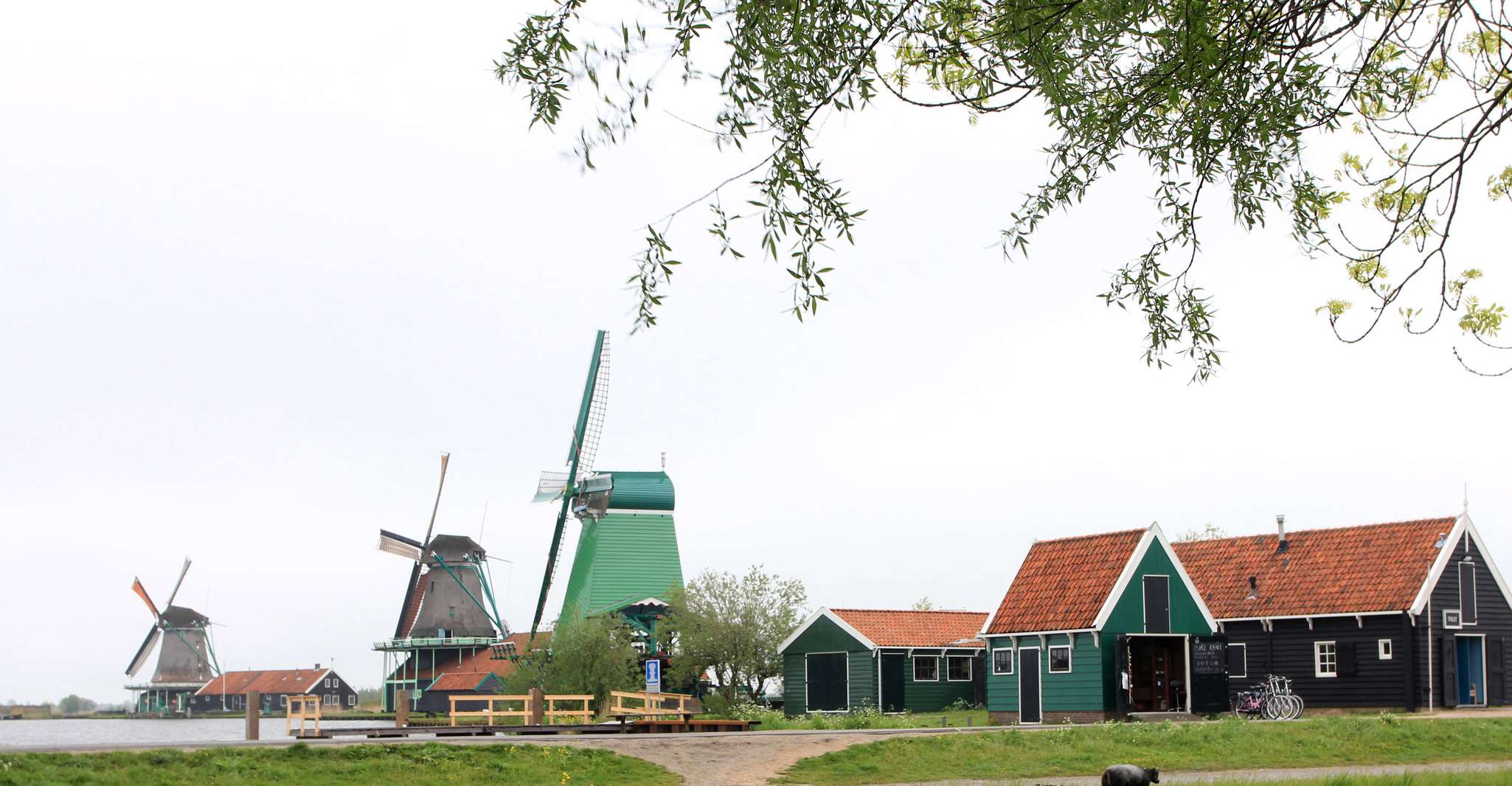 From Amsterdam: Windmills of Zaanse Schans Tour photo 6
