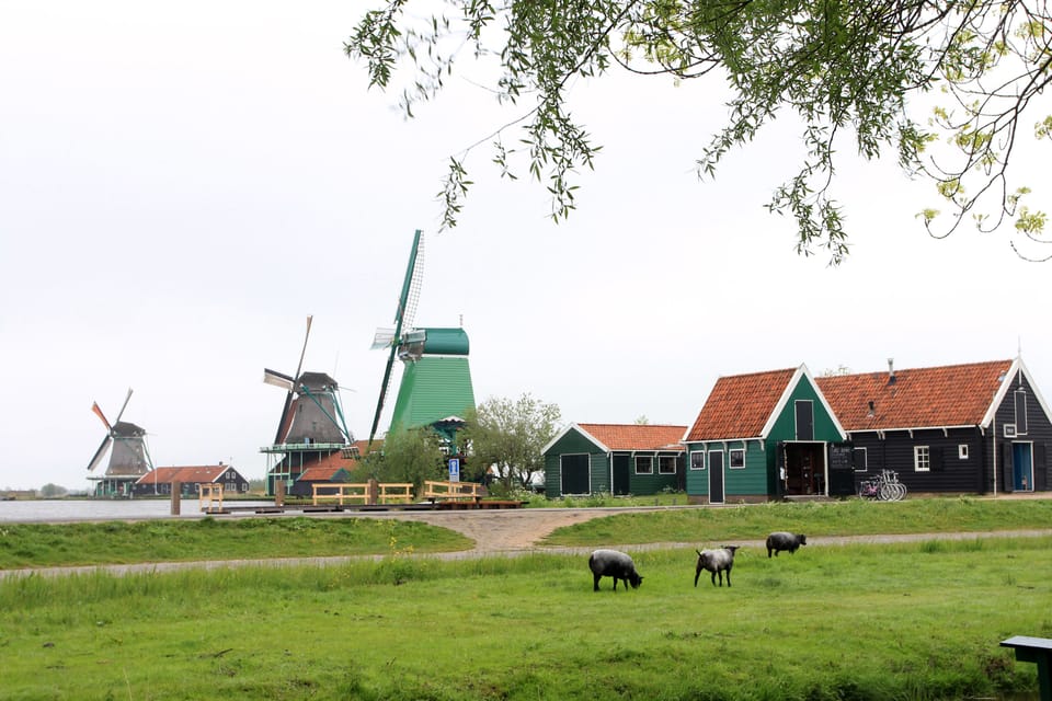 Holanda: Zaanse Schans e os moinhos de vento - Viajonários