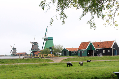 Ab Amsterdam: Windmühlen von Zaanse Schans Tour auf Spanisch