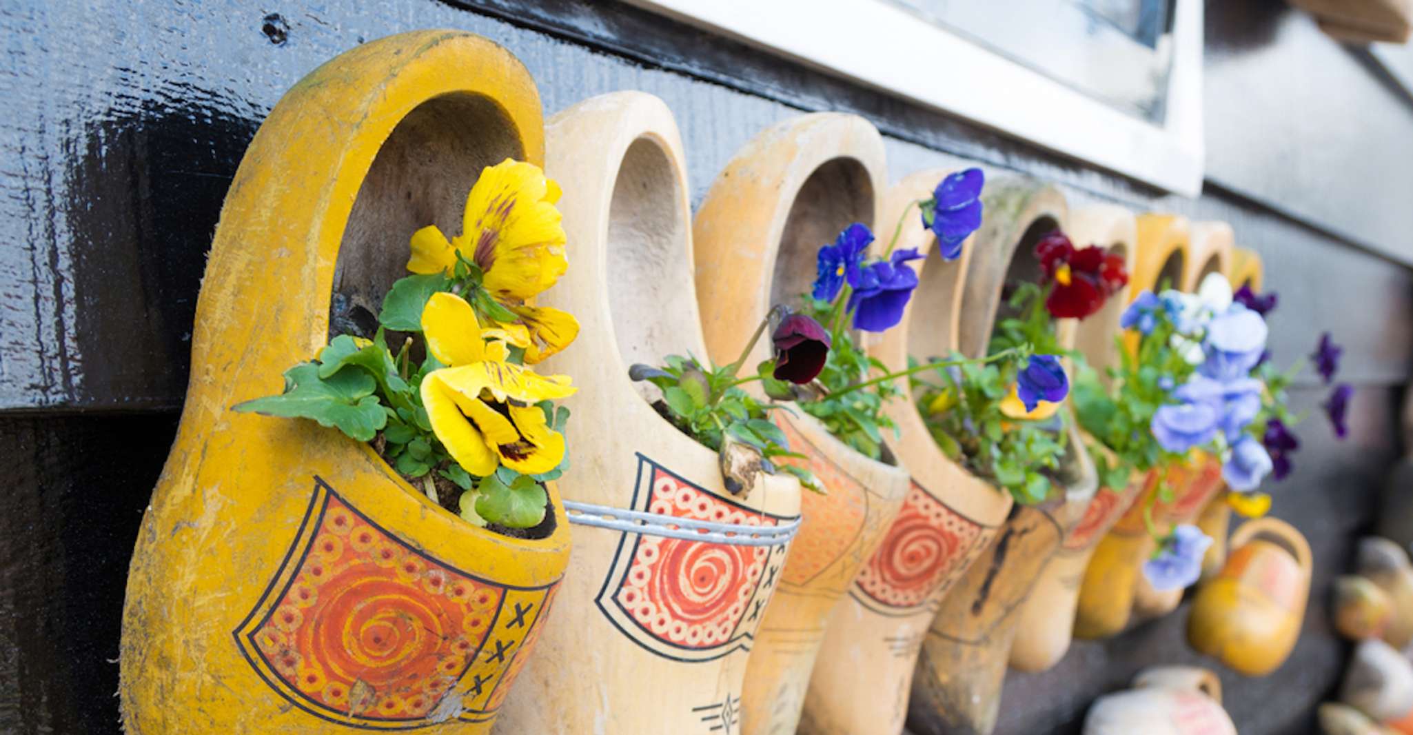From Amsterdam: Windmills of Zaanse Schans Tour photo 8