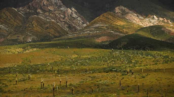 from salta private scenic drive and cachi day trip