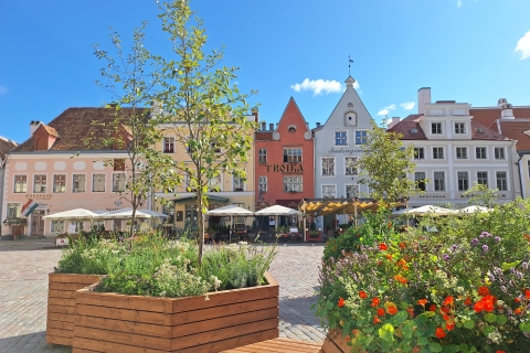 Tallinn : visite guidée privée à pied de la cité médiévale