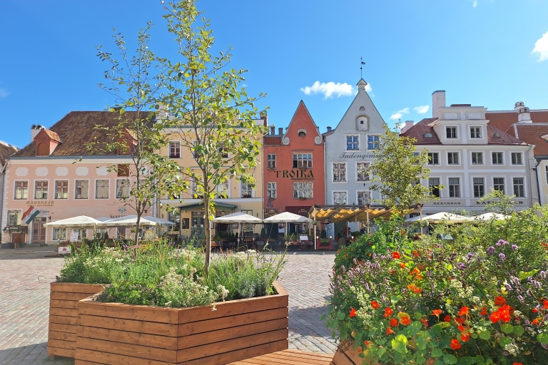 Tallin: visita guiada privada a pie por la ciudad medieval