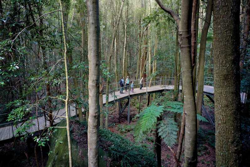 From Sydney Blue Mountains Scenic World Zoo And Ferry Tour Getyourguide