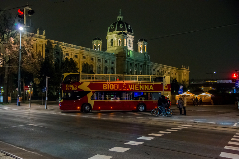Vienna: Christmas Evening Tour with Schönbrunn Palace Lights