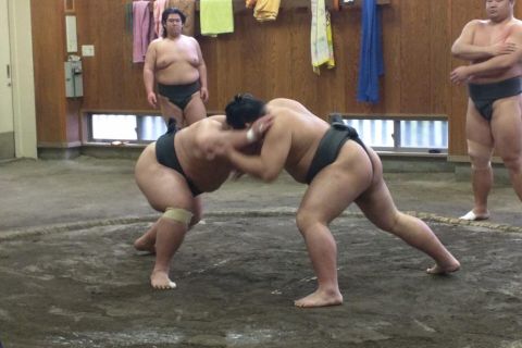 Tokyo: visita a una sessione di allenamento di sumo