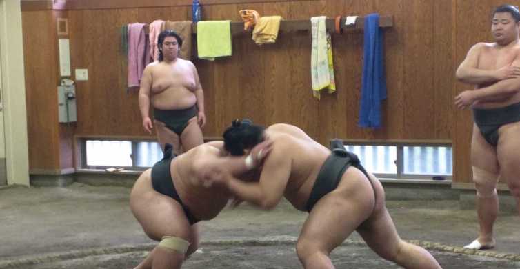 Tokyo Sumo Morning Training Visit GetYourGuide
