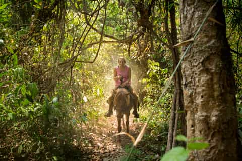 Chiang Mai: Jungle Horse Trekking Full-Day Tour