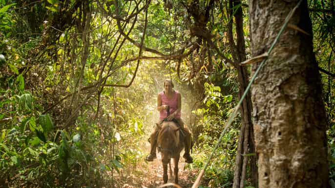 chiang mai jungle horse trekking tour de día completo
