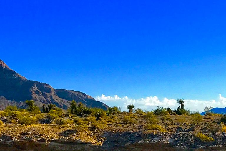 From Las Vegas: Red Rock Canyon Electric Bike Hire