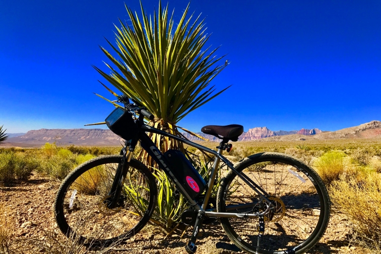 From Las Vegas: Red Rock Canyon Electric Bike Hire