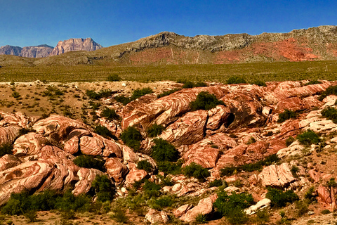 Da Las Vegas: Noleggio di biciclette elettriche nel Red Rock Canyon