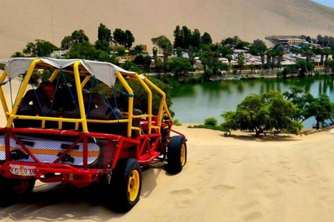 Depuis Lima : 1 journée Îles Ballestas + Oasis de Huacachina