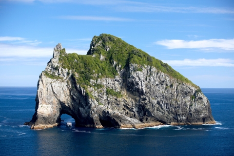 Desde Paihia o Russell: Hole in the Rock Dolphin CruiseSaliendo del muelle de Paihia