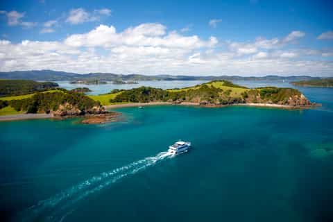 From Paihia or Russell: Hole in the Rock Dolphin Cruise