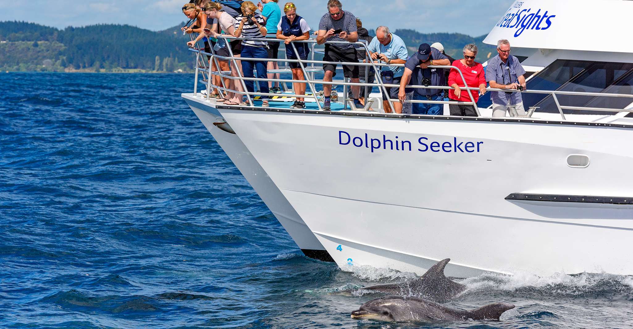 Paihia/Russell, Hole in the Rock and Bay of Islands Cruise - Hizvo