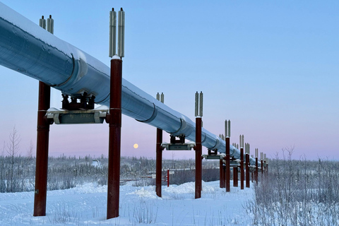 Fairbanks: Arctic Circle Tour with Northern Lights Hunt