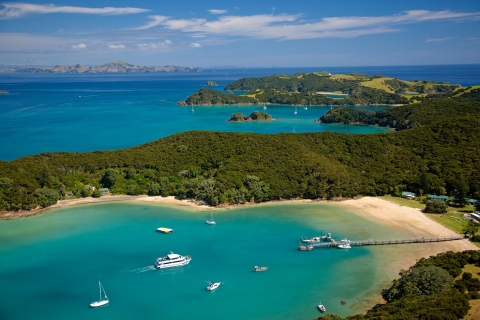 The Cream Trip: A Day in the Bay of Islands