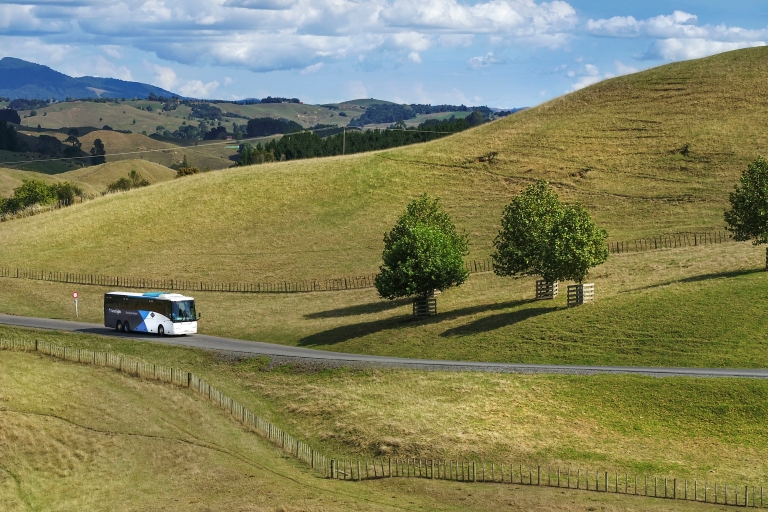 From Auckland: Waitomo & Hobbiton Bus Tour with Lunch Roundtrip: Waitomo Caves & Hobbiton Tour from Auckland