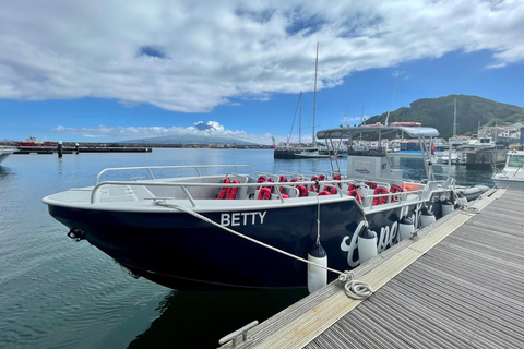 Ilha do Faial: Passeio de barco exclusivo até o vulcão dos CapelinhosIlha do Faial: Passeio de barco único ao vulcão dos Capelinhos