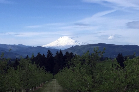 Portland: tour de un día completo por el vino y las cascadas de Mount HoodTour en grupo